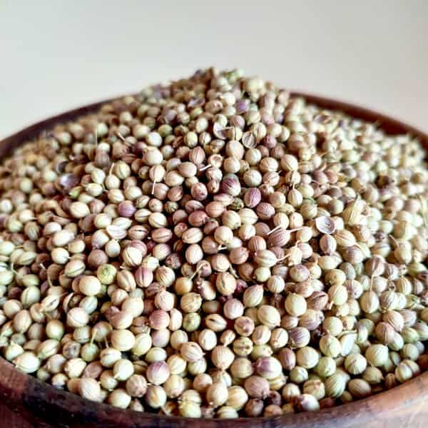 تصویر 6 از خرید اینترنتی بذر گشنیز عمده